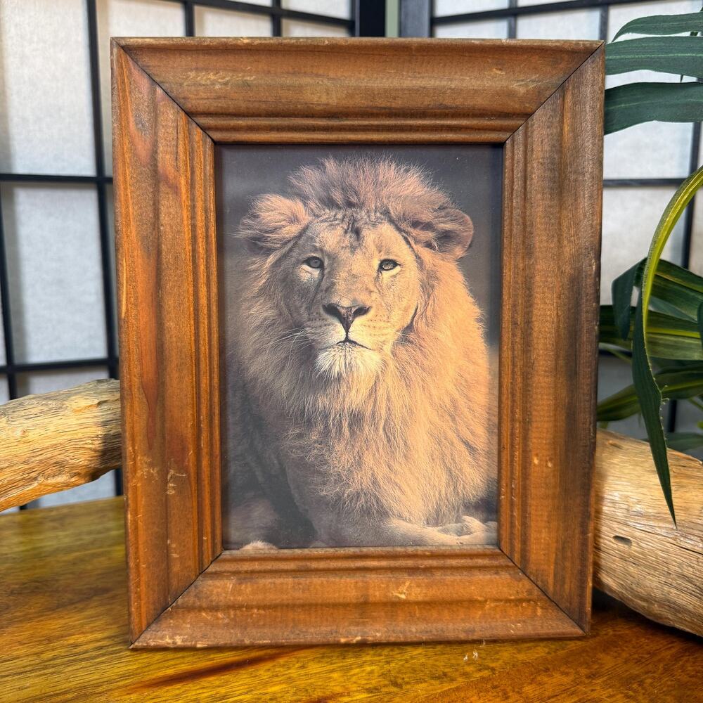 Vintage Lion Print Framed Rustic Frame Animal Safari Decor King of the Pride